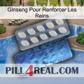 Ginseng For Reinforcing Kidney 34